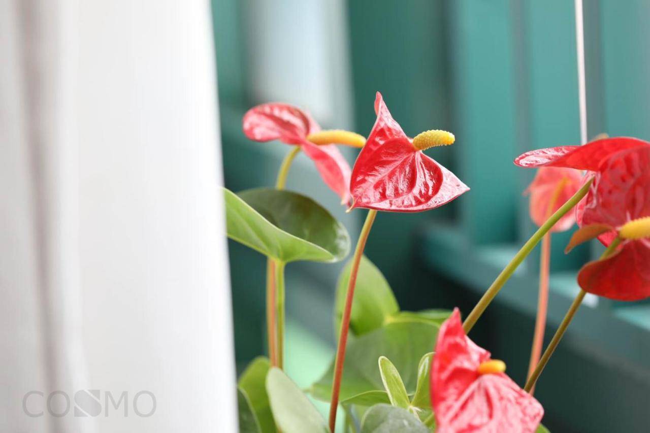 Shanghai Cosmo World Union Service Apartment Luaran gambar